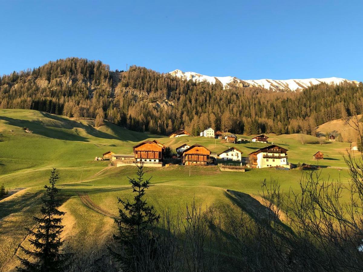 Farm stay Luech Da Spescia
