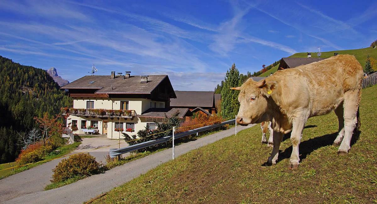 Farm stay Luech Da Spescia *